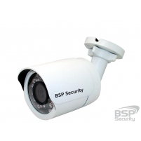 BSP Security Модель 0090 (BSP-BO10-FL-02)