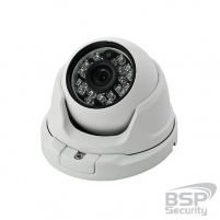 BSP Security Модель 0081 (BSP-DI10-FL-01)