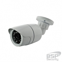 BSP Security Модель 0079 (BSP-BO10-FL-01)