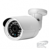 BSP Security Модель 0031 (BSP-BO13-FL-03)