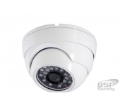 BSP Security Модель 0091 (BSP-DI10-FL-02)