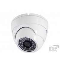 BSP Security Модель 0094 (BSP-DI20-FL-02)