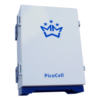 Репитер PicoCell 900 SxP (SXT, SXV)